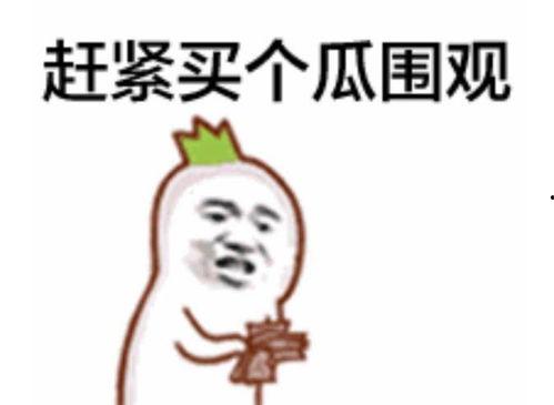 泛式吃瓜表情包下载免费,免费下载，轻松逗乐你的朋友圈